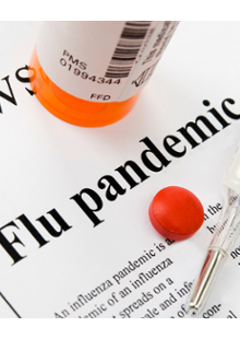 Flu Pandemic