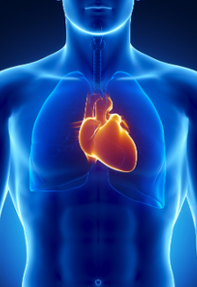 Heart Image
