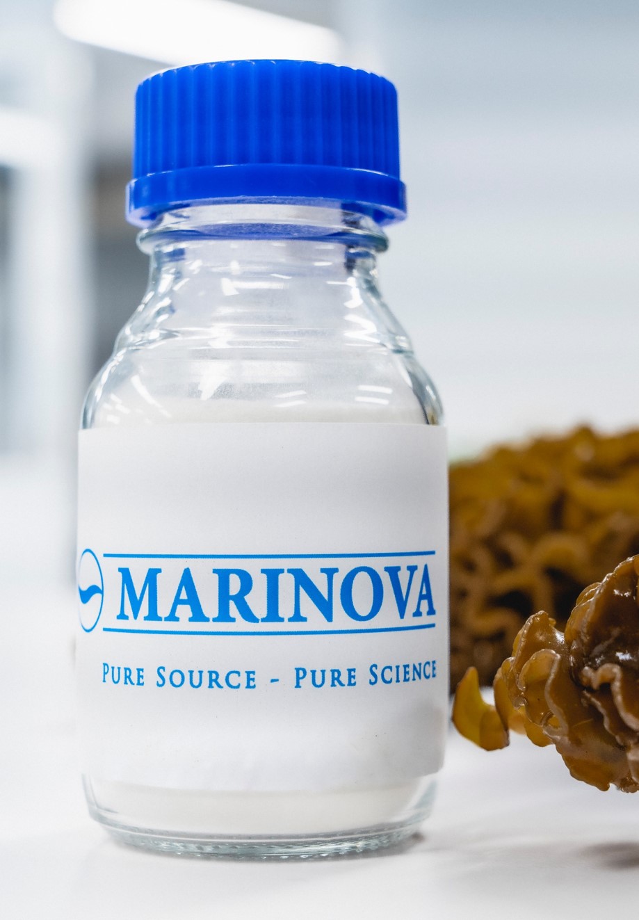 Jar of Marinova fucoidan on laboratory bench