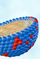 Digital representation of a nanoparticle