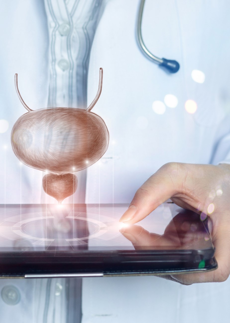 A doctor wearing a labcoat holding an ipad. Hovering about the ipad is a digital image of a bladder and prostate gland. 