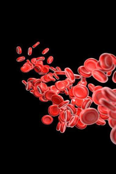Abstract image of red blood cells